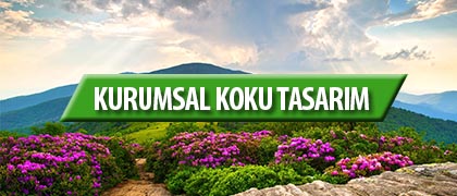Kurumsal Koku Tasarım